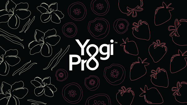 yogipro protein snacks